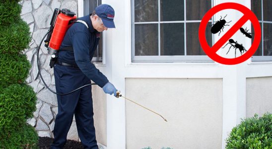 Kepsut Dezenfeksiyon böcek ilaçlama ve haşere kontrolü — ilaclama-tr.com